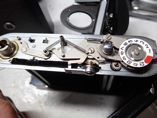 P5120284.JPG